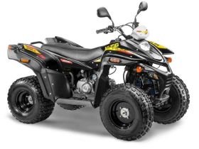 Квадроцикл СТЕЛС ATV 110A Hugo