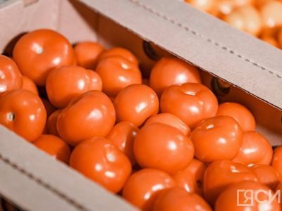 Более 400 тонн овощей отправят в арктические районы Якутии 