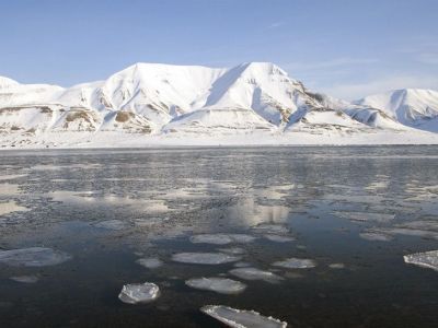 Температура в Арктике поднялась выше 34 градусов Цельсия