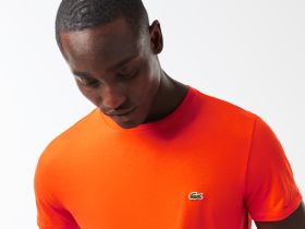Мужская футболка Lacoste стандартного кроя
