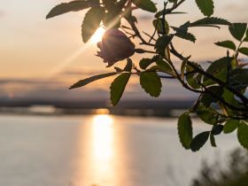 Сплав по реке Лена с посещением Ленских Столбов, тукуланов-песков Самыс Кумага и Кысыл Элэсин