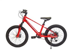 Детский велосипед Falcon Bike River 20, год 2024, цвет Черный