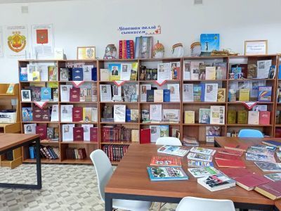 Таушкасинская сельская библиотека