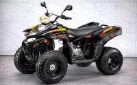 Квадроцикл STELS ATV 110A Hugo