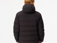 Мужская куртка Lacoste