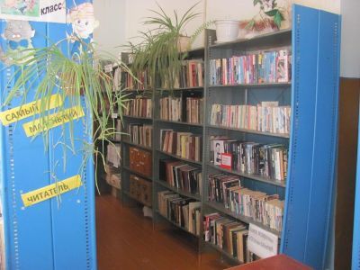 Васильевская сельская библиотека