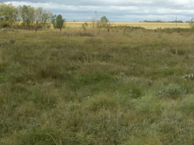 Братская могила партизан