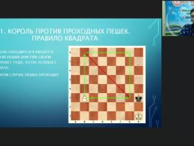Международный вебинар «Пешечный эндшпиль»