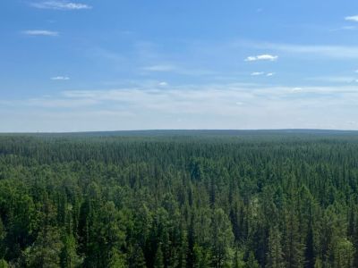 Три лесных пожара ликвидировали в Якутии за сутки