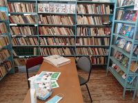 Кисловская поселенческая библиотека