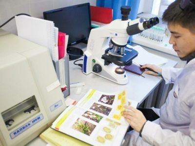 Первая на Дальнем Востоке программа подготовки инженеров-экологов откроется на базе СВФУ