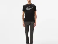 Мужская футболка Lacoste из хлопка