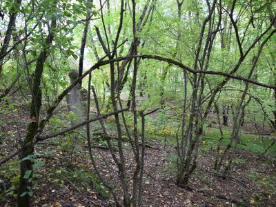 Кладбище ("старое")