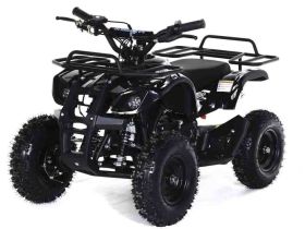 Квадроцикл MOTAX ATV Mini Grizlik X-16