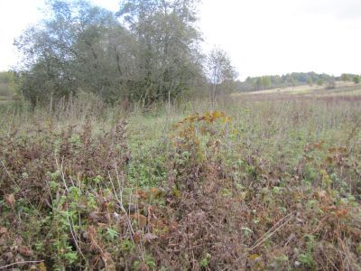 Родина народного художника Белорусской ССР А.К. Глебова