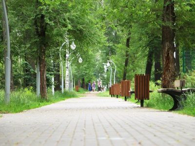 Парк «Сосновая роща»