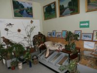 Боковский районный краеведческий музей