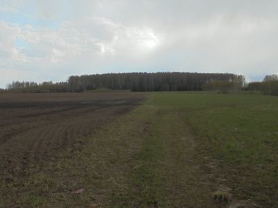 Священная роща