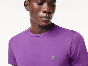 Мужская футболка Lacoste стандартного кроя