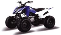 Квадроцикл MOTOLAND 150S