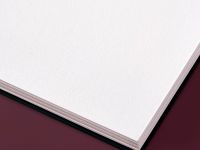 Скетчбук для акварели на спирали Малевичъ "Monet" А3 20 л 300 г, экстра-мелкое зерно