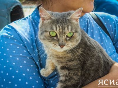 Активисты «Движения первых» в Якутии присоединились ко всероссийской акции «Лапа помощи»