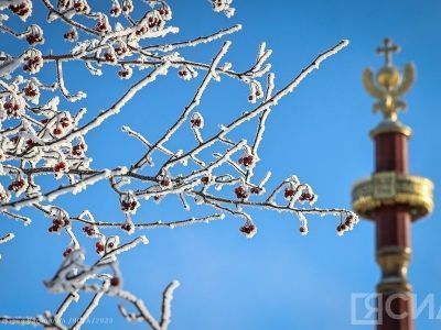 Видеофакт: в Якутске распустились почки на деревьях в -28 градусов