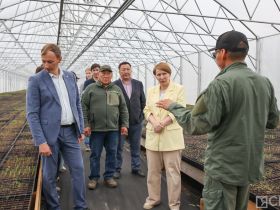 Крупнейший в Якутии лесопитомник открыли в селе Табага