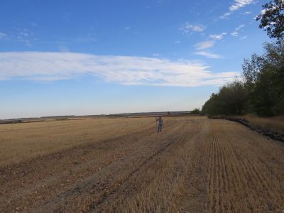 Курганный могильник 3 у с. Солонцы (3 насыпи)