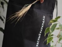 Фартук хлопковый "Свободный художник", Красный Карандаш