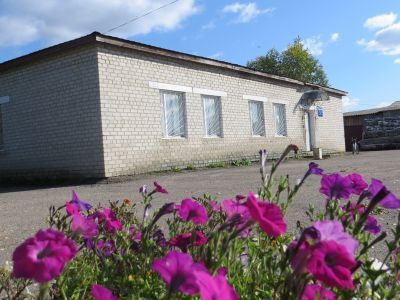 Челсменская сельская библиотека – филиал № 28