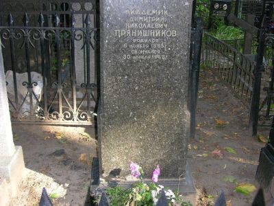 Могила Прянишникова Дмитрия Николаевича (1865-1946)