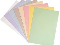 Набор для детского творчества из цветного тонированног картона Лилия Холдинг "Совки гуляют" А4 8 цв.