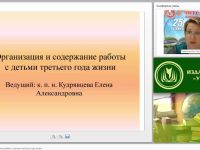 Организация и содержание работы с детьми третьего года жизни