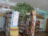 Кытмановская детская библиотека-филиал