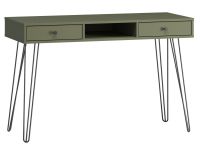 Письменный стол Крейн-1 120x50 Оливковый/Черный