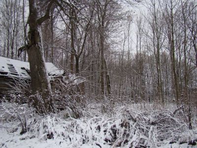 Парк усадьбы Сперанского пейзажной планировки (мыза Сперанская)