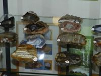 Краеведческий музей г. Рассказово