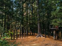 Этнографический музей под открытым небом «Торум Маа»