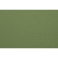 Бумага для пастели Fabriano "Tiziano" 70x100 см 160 г №11 вердуццо