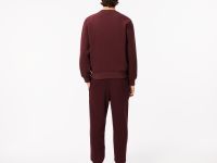 Мужские спортивные брюки Lacoste