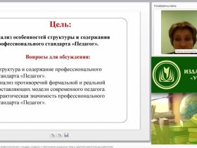 Вебинар "Проблемы применения профессионального стандарта “Педагог” и обеспечения социальных прав и гарантий педагогических работников"