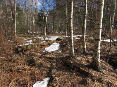 Церковь Вознесения Богородицы