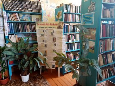 Давыдковская сельская библиотека, филиал № 4