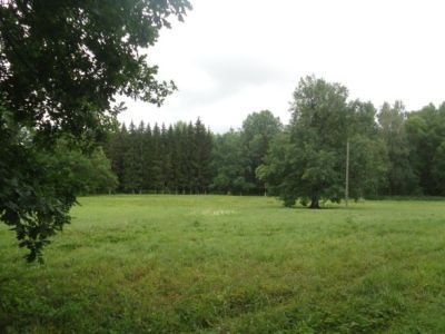 Парк усадьбы "Заверяжье" пейзажной планировки