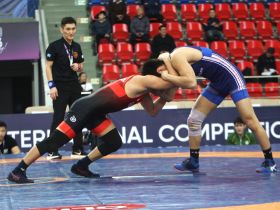 Четыре борца из Якутии будут бороться в финалах турнира Романа Дмитриева