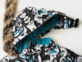 Комплект текстильный с полиуретановым покрытием для мальчиков: куртка, полукомбинезон