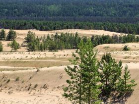 Сплав по реке Лена с посещением Ленских Столбов, тукуланов-песков Самыс Кумага и Кысыл Элэсин