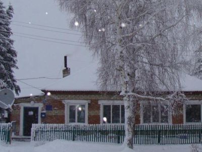 Борисовская сельская библиотека имени В. А. Шумилова