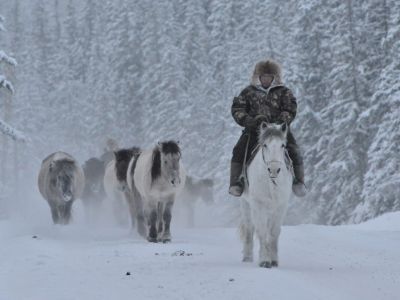 ФОТО: Сельские зарисовки